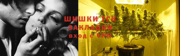 тгк Протвино