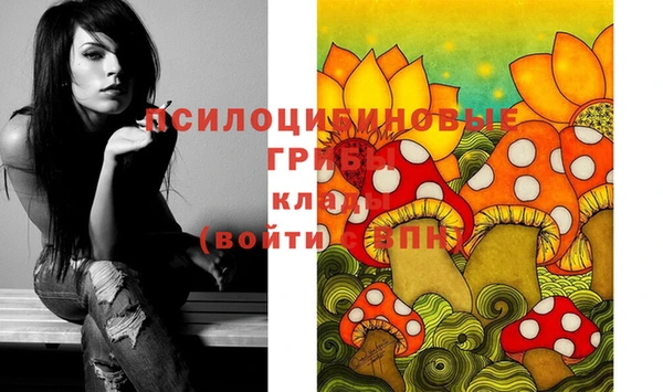 ешки Приозерск