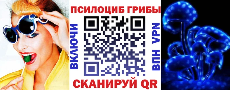 Псилоцибиновые грибы MAGIC MUSHROOMS  Советск 