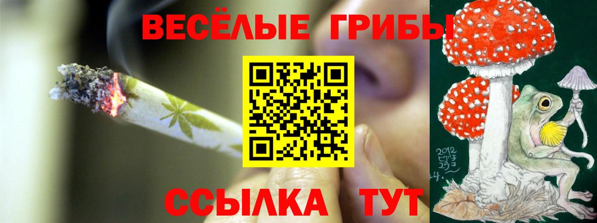 Советск  Галлюциногенные грибы прущие грибы  Вход с VPN  Галлюциногенные грибы Psilocybe 